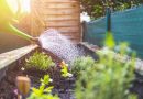 Como cultivar e manter o jardim durante os dias mais quentes do verão