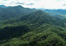 Parque Estadual Carlos Botelho ganha 1.197 hectares de áreas florestais
