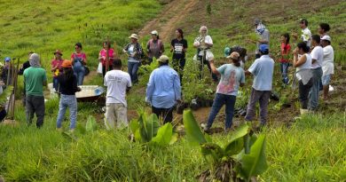 Rede mobiliza agricultores do Vale do Paraíba para restaurar APPs e RL com sistemas agroflorestais