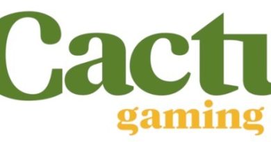 Avanço da Cactus no mercado brasileiro passa por plataformas certificadas e inovadoras