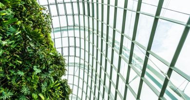 Indústria Verde: Quais os Desafios da Sustentabilidade?