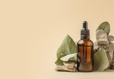 O que é Sustentabilidade e Como Aplicar