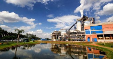 Suzano registra recorde de vendas e ganho de eficiência operacional em 2025