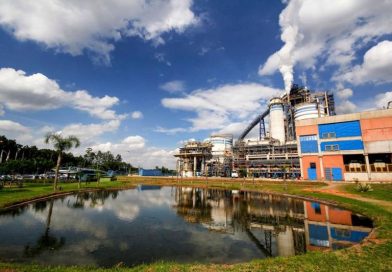 Suzano registra recorde de vendas e ganho de eficiência operacional em 2025