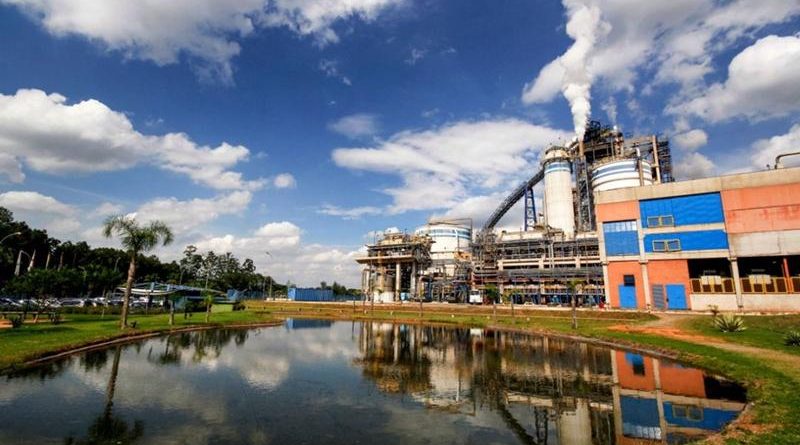 Suzano registra recorde de vendas e ganho de eficiência operacional em 2025