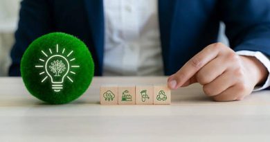 Empreendedorismo com Foco em Sustentabilidade Financeira