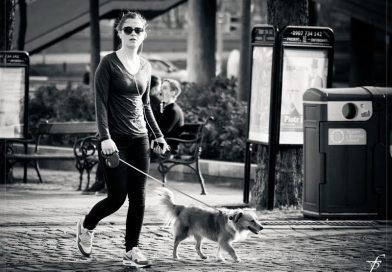 Hábitos simples que aumentam o bem-estar dos cães