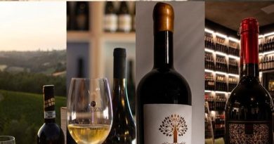 São José dos Campos será a capital do vinho(experiências únicas e rótulos exclusivos)