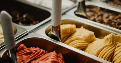 Gelato x sorvete: quais as diferenças operacionais e qual entrega maior rentabilidade?